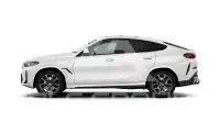 2025 BMW X6