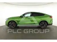 2025 BMW X6