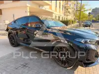 2025 BMW X6