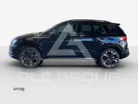 2025 Cupra Other