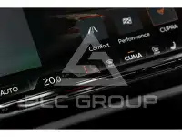 2025 Cupra Other