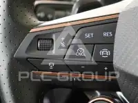 2025 Cupra Other