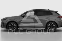 2025 Cupra Other