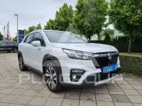 2025 Suzuki 