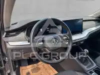 2025 Skoda Octavia