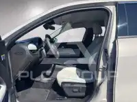 2025 Fiat 600