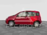 2025 Fiat Panda