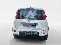 2025 Fiat Panda