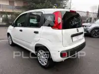 2025 Fiat Panda