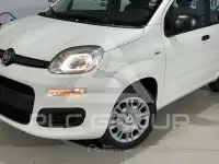 2025 Fiat Panda