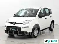 2025 Fiat Panda