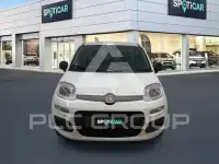 2025 Fiat Panda