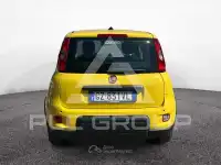 2025 Fiat Panda