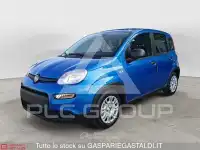 2025 Fiat Panda