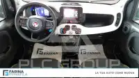 2025 Fiat Panda