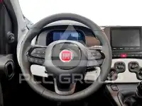 2025 Fiat Panda