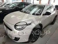 2025 Fiat 600