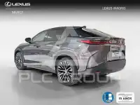 2025 Lexus RZ