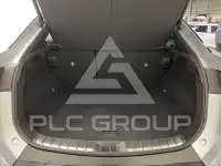 2025 Lexus RZ