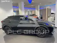 2025 Lexus RZ