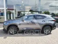 2025 Lexus NX