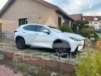 2025 Lexus NX