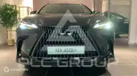 2025 Lexus NX