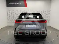 2025 Lexus NX