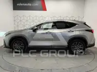 2025 Lexus NX