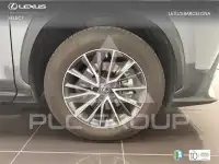 2025 Lexus NX