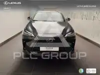 2025 Lexus NX