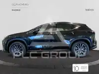 2025 Lexus NX