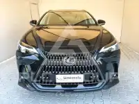 2025 Lexus NX