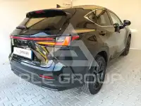 2025 Lexus NX