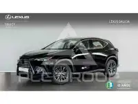 2025 Lexus NX