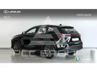 2025 Lexus NX