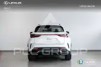 2025 Lexus NX