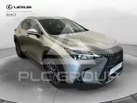 2025 Lexus NX