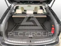 2025 Lexus RX