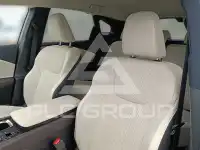 2025 Lexus RX