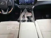 2025 Lexus RX
