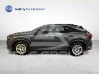 2025 Lexus RX