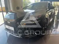2025 Lexus RX