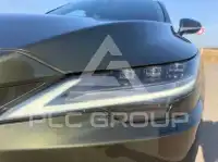 2025 Lexus RX