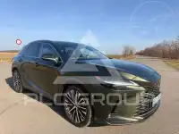 2025 Lexus RX