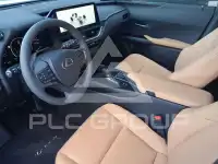 2025 Lexus UX