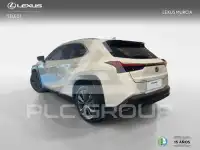 2025 Lexus UX