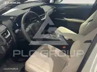 2025 Lexus UX
