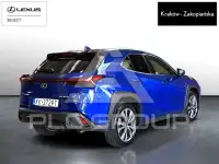2025 Lexus UX