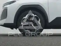 2025 Citroen C5